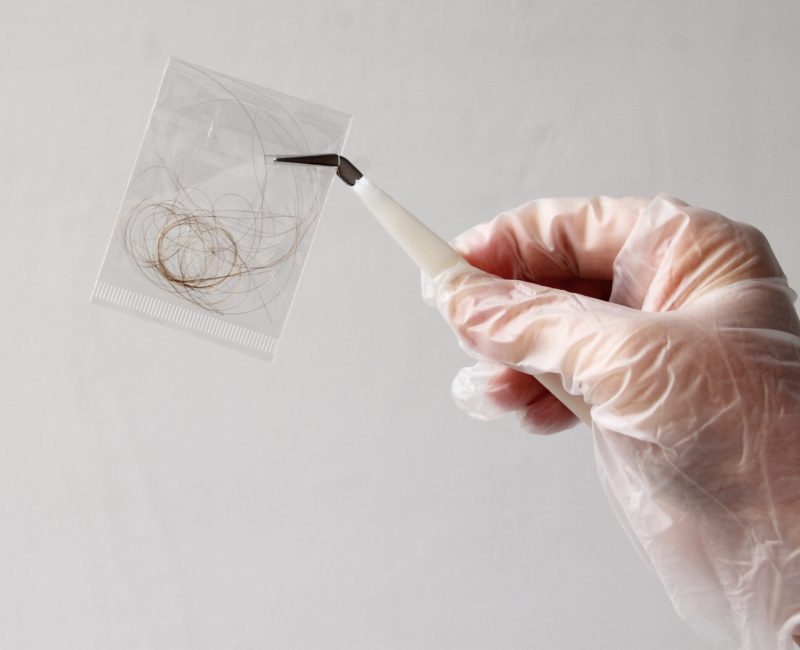 hair sample, curls in a bag in the hands of a laboratory assistant for research by genetic research in the laboratory, concept of DNA analysis, establishing paternity